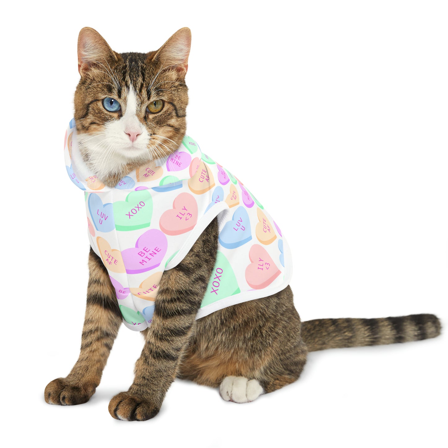 Be mine Pet Hoodie