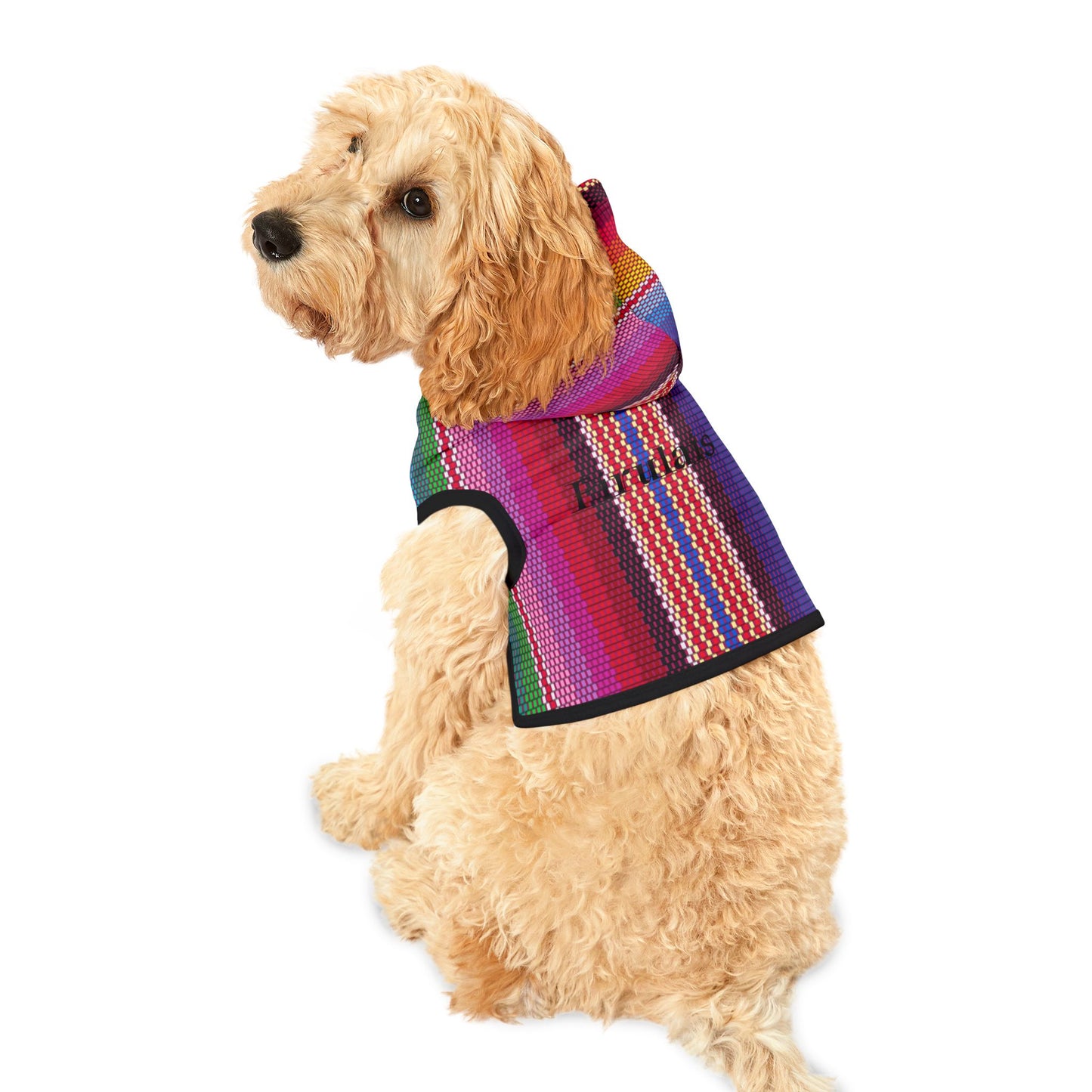 Customizable Sarape Style Pet Hoodie