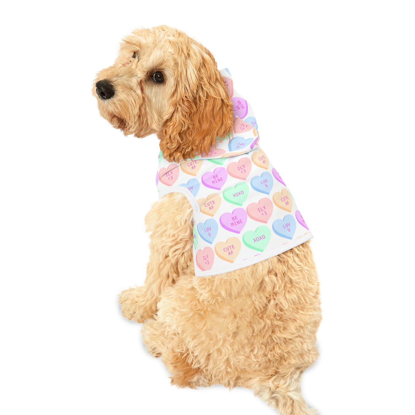 Be mine Pet Hoodie