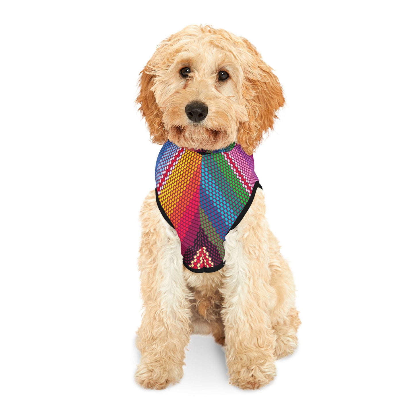 Customizable Sarape Style Pet Hoodie