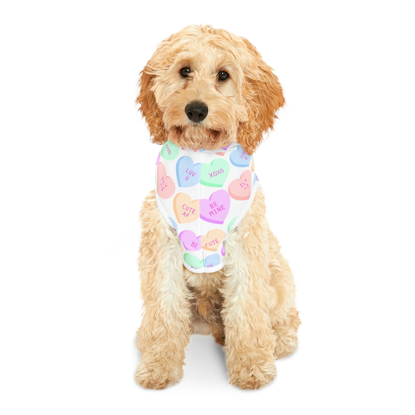Be mine Pet Hoodie
