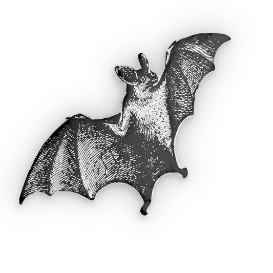 Bat Shaped Pillows