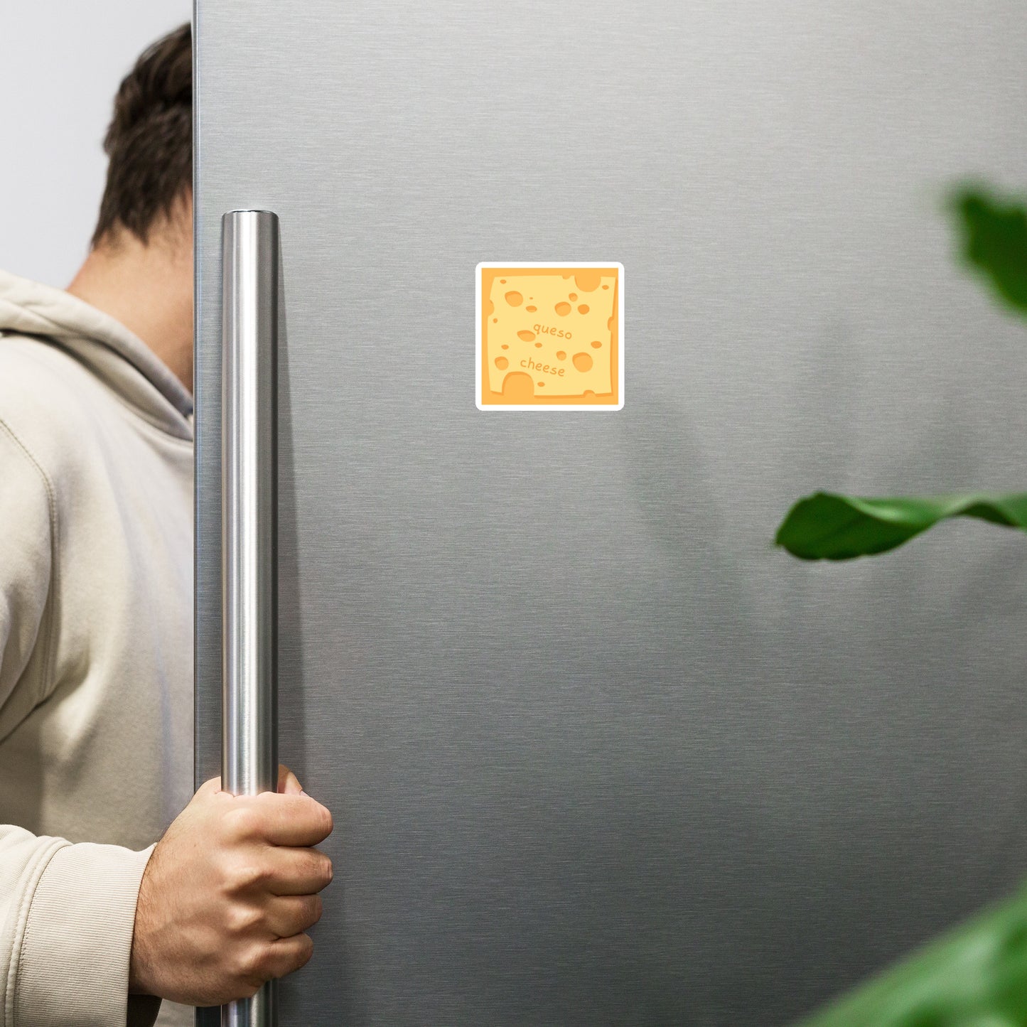 cheese - queso Magnet