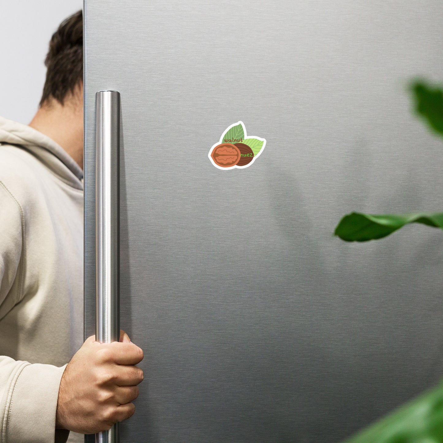 walnut - nuez Magnet