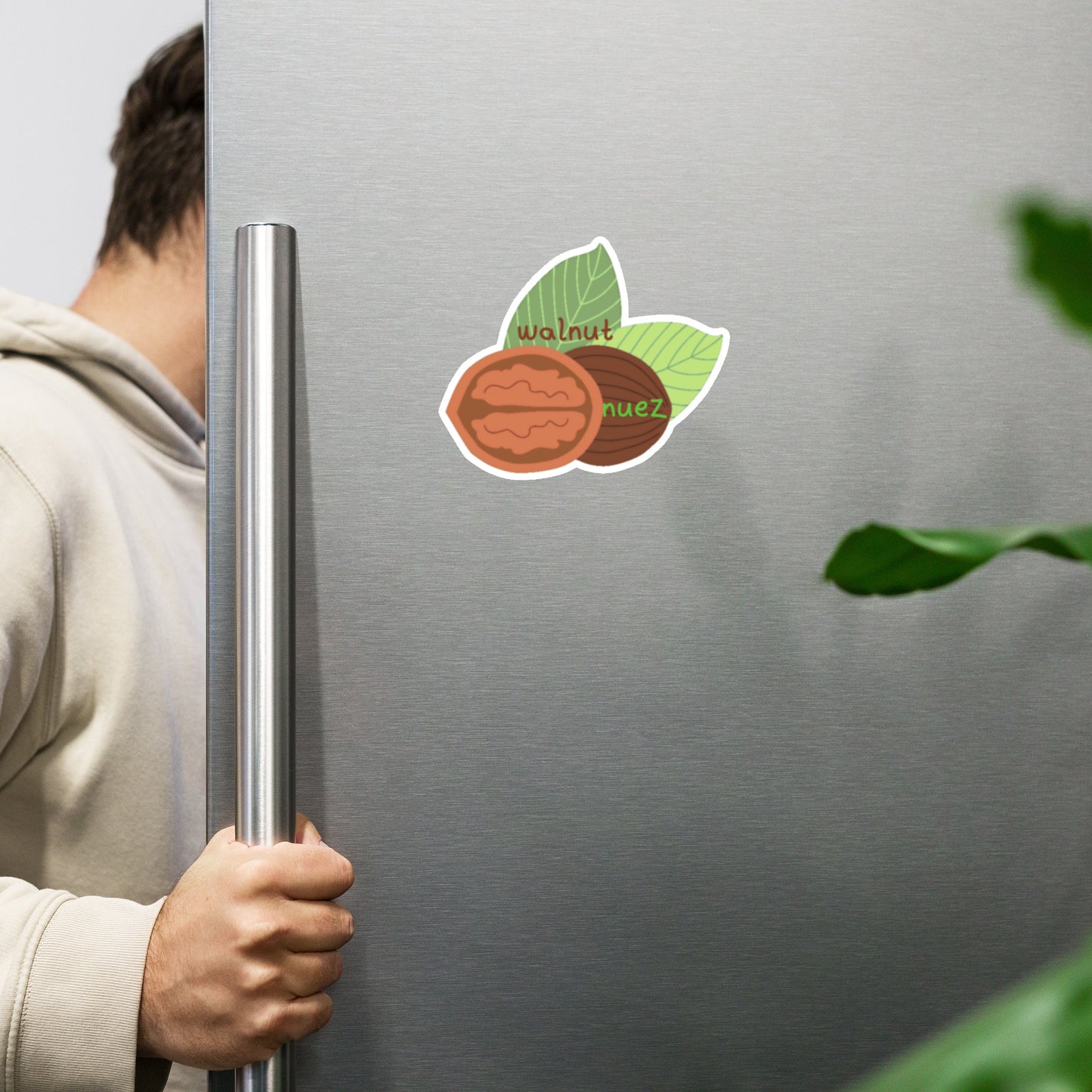 walnut - nuez Magnet