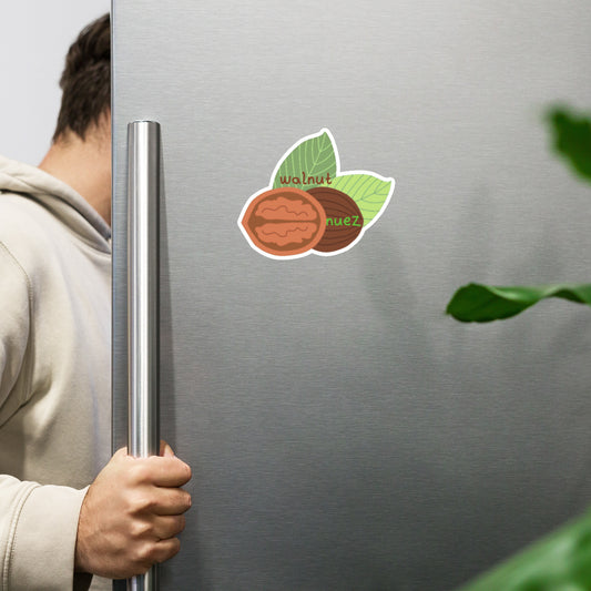 walnut - nuez Magnet